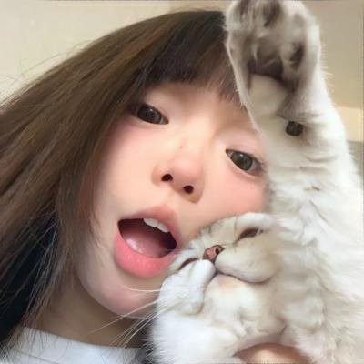 龙猫